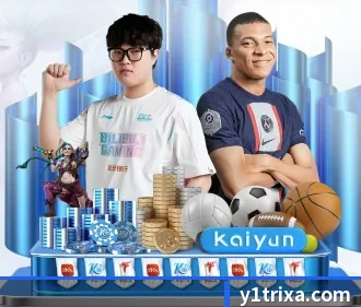 Y1体育官网 APP